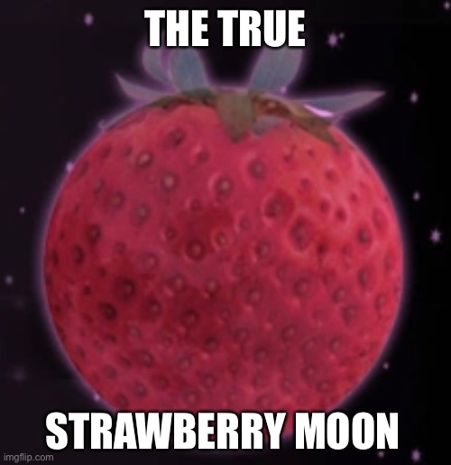 THE TRUE; STRAWBERRY MOON | made w/ Imgflip meme maker