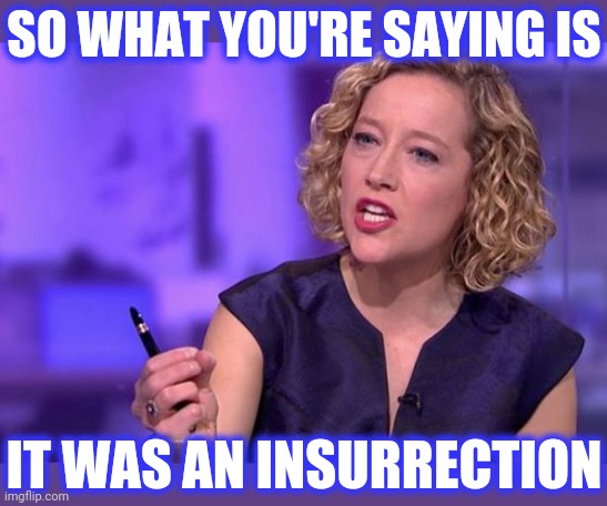 SO WHAT YOU'RE SAYING IS IT WAS AN INSURRECTION | made w/ Imgflip meme maker