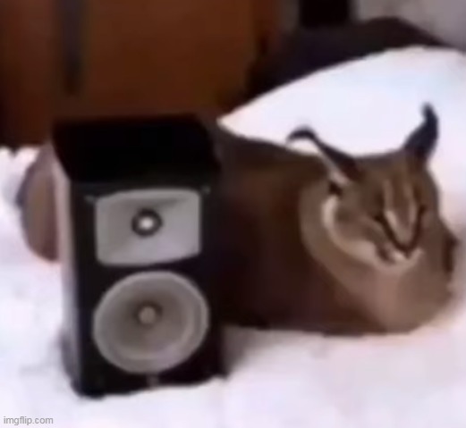 bingus im gonna kick your ass | made w/ Imgflip meme maker