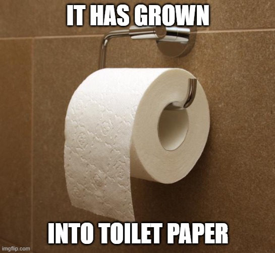 Toilet Paper | IT HAS GROWN; INTO TOILET PAPER | image tagged in toilet paper,toilet paper garden | made w/ Imgflip meme maker
