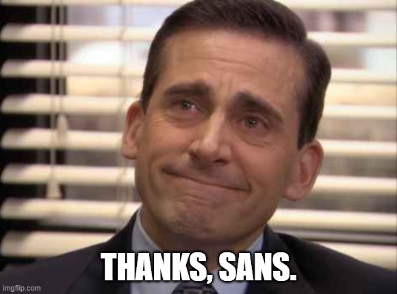 wholesome | THANKS, SANS. | image tagged in wholesome | made w/ Imgflip meme maker