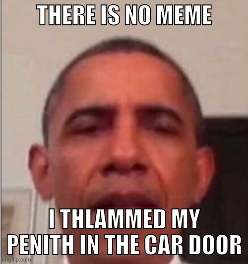I thlammed my penith in the car door | THERE IS NO MEME; I THLAMMED MY PENITH IN THE CAR DOOR | image tagged in there is no meme template | made w/ Imgflip meme maker