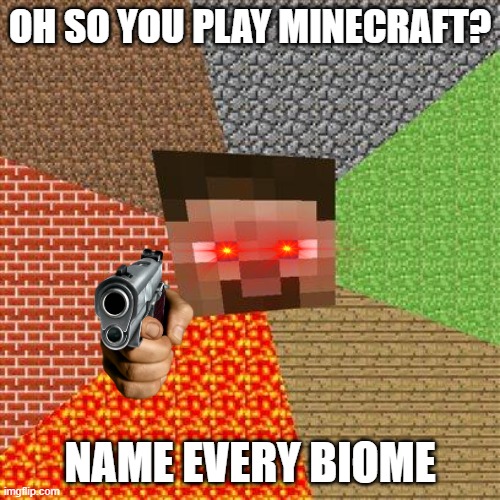 Name Every Biome |  OH SO YOU PLAY MINECRAFT? NAME EVERY BIOME | image tagged in minecraft steve,memes | made w/ Imgflip meme maker