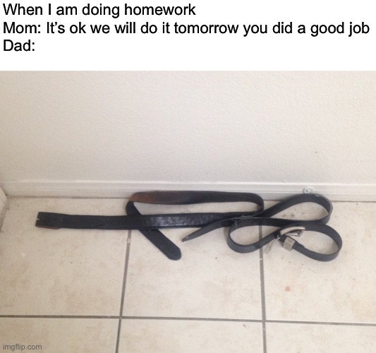 Belt-Action sniper rifle | When I am doing homework 
Mom: It’s ok we will do it tomorrow you did a good job
Dad: | image tagged in belt-action sniper rifle,parents,homework,relatable | made w/ Imgflip meme maker