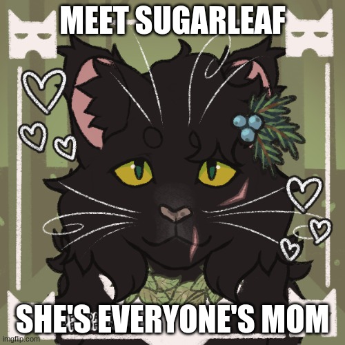 <3 | MEET SUGARLEAF; SHE'S EVERYONE'S MOM | made w/ Imgflip meme maker