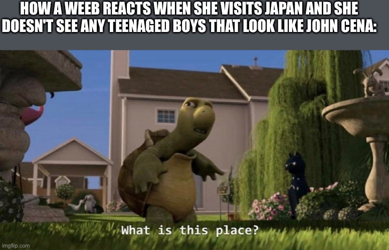 What is this place | HOW A WEEB REACTS WHEN SHE VISITS JAPAN AND SHE DOESN'T SEE ANY TEENAGED BOYS THAT LOOK LIKE JOHN CENA: | image tagged in what is this place | made w/ Imgflip meme maker