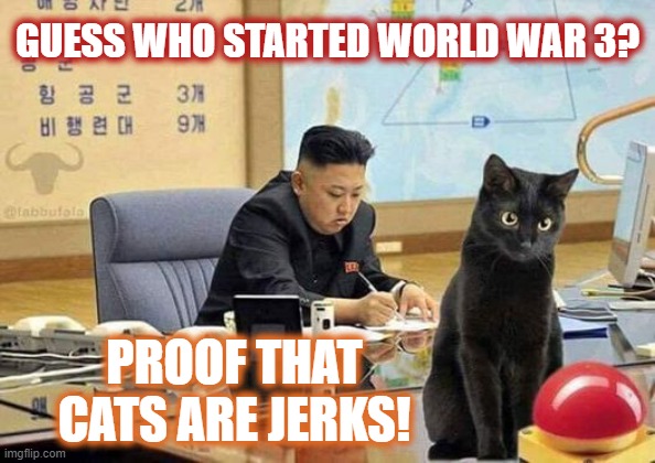 Proof that cats are jerks |  GUESS WHO STARTED WORLD WAR 3? PROOF THAT CATS ARE JERKS! | image tagged in cats,evil,world war 3,nuclear,kim jung un,big red button | made w/ Imgflip meme maker