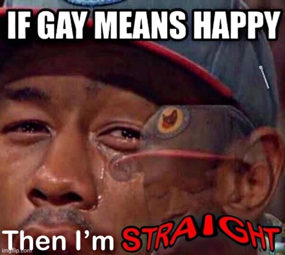 For those who dont know gay used to mean happy | made w/ Imgflip meme maker