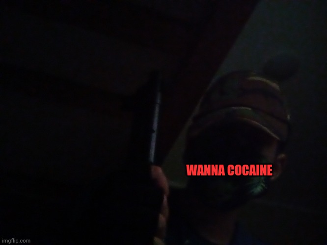 WANNA COCAINE | made w/ Imgflip meme maker