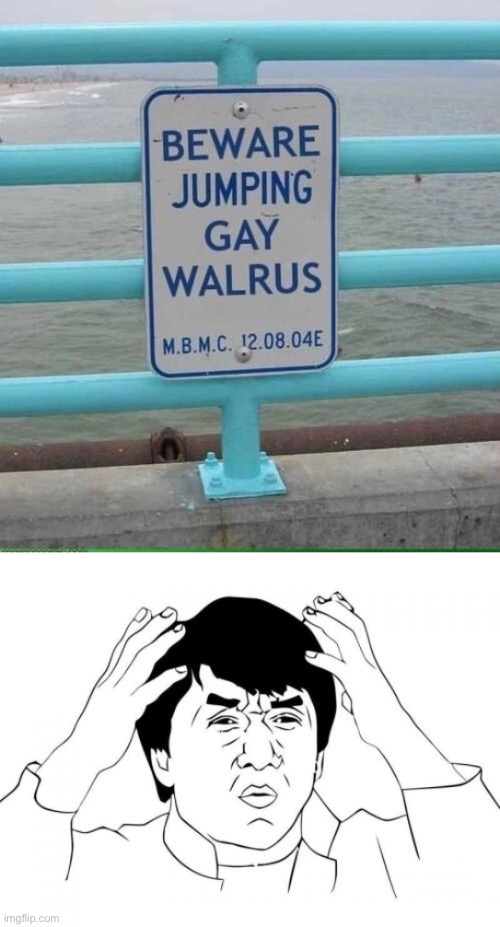 Gay walrus? | image tagged in memes,jackie chan wtf | made w/ Imgflip meme maker