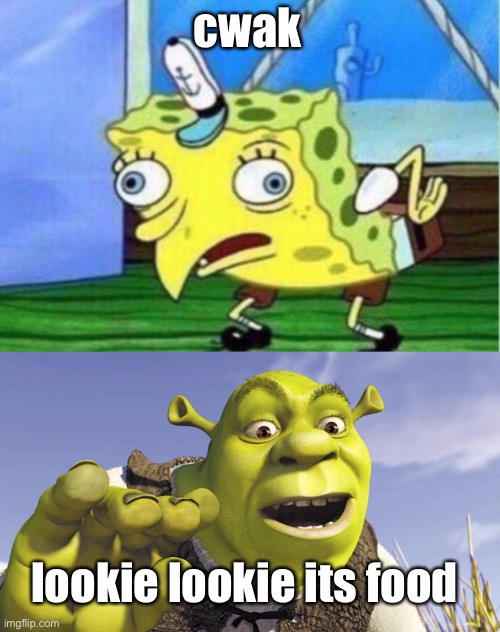 cwak; lookie lookie its food | image tagged in memes,mocking spongebob | made w/ Imgflip meme maker