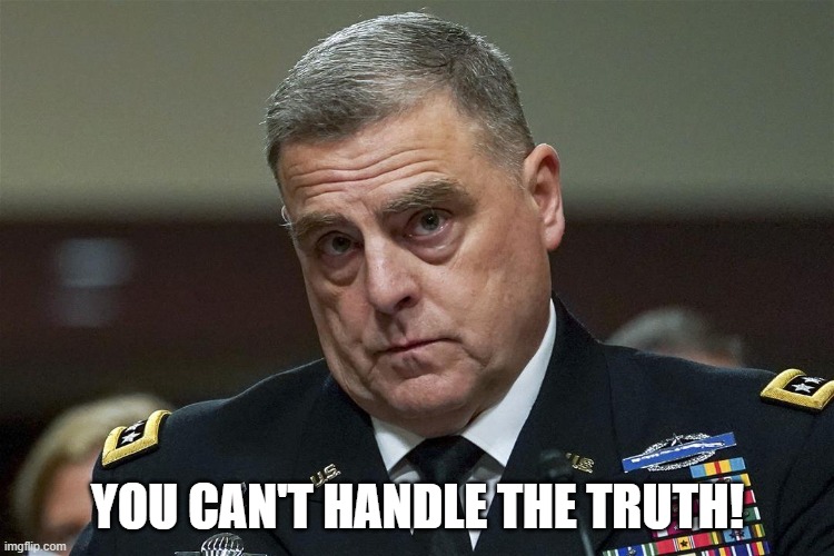 A Good Man | YOU CAN'T HANDLE THE TRUTH! | image tagged in a few good men | made w/ Imgflip meme maker