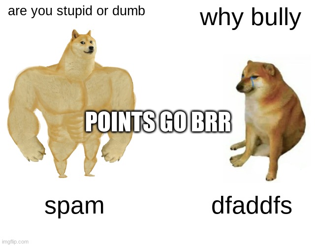 o | are you stupid or dumb; why bully; POINTS GO BRR; spam; dfaddfs | image tagged in memes,buff doge vs cheems | made w/ Imgflip meme maker