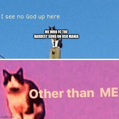 Hail pole cat | ME WHO FC THE HARDEST SONG ON OSU MANIA | image tagged in hail pole cat | made w/ Imgflip meme maker