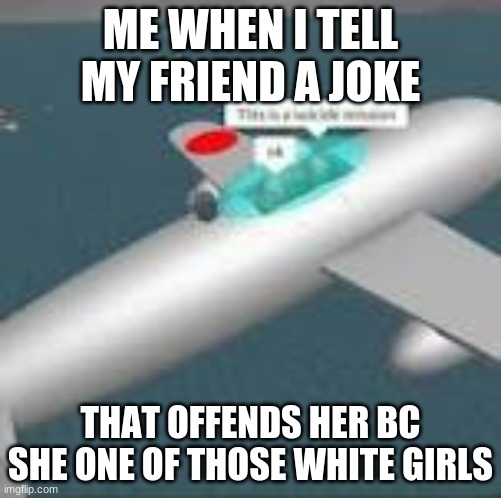 This is a suicide mission ok | ME WHEN I TELL MY FRIEND A JOKE THAT OFFENDS HER BC SHE ONE OF THOSE WHITE GIRLS | image tagged in this is a suicide mission ok | made w/ Imgflip meme maker