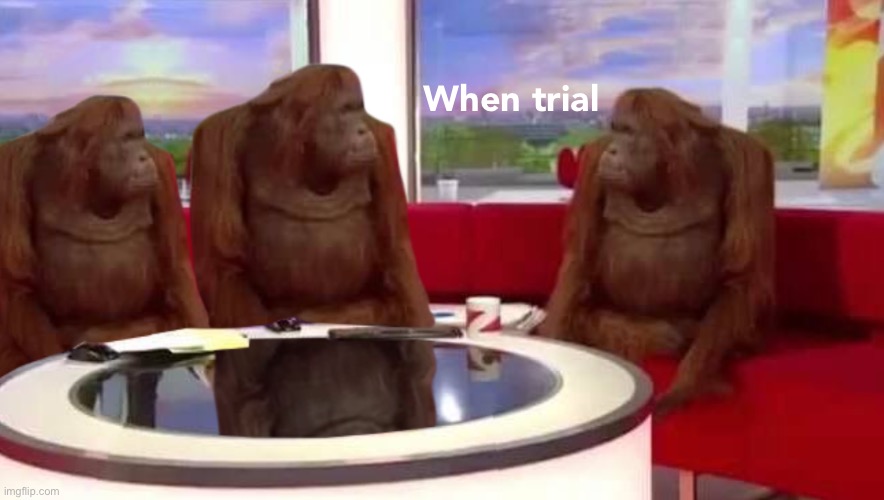 Wasn’t the mock trial supposed to be this afternoon? I volunteered to be a plaintiff’s lawyer. Just hit me up when ready… | When trial | image tagged in where monkey | made w/ Imgflip meme maker
