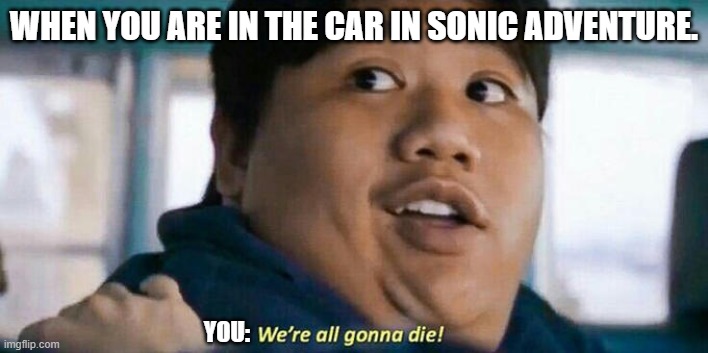 We're all gonna die | WHEN YOU ARE IN THE CAR IN SONIC ADVENTURE. YOU: | image tagged in we're all gonna die | made w/ Imgflip meme maker