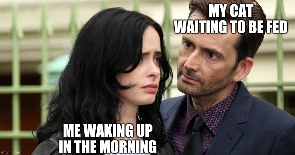 Jessica Jones Death Stare | MY CAT WAITING TO BE FED; ME WAKING UP IN THE MORNING | image tagged in jessica jones death stare | made w/ Imgflip meme maker