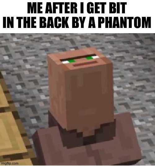 Guess it’s bedtime | image tagged in minecraft villager looking up,minecraft,minecraft villagers,gaming,why do people read these | made w/ Imgflip meme maker
