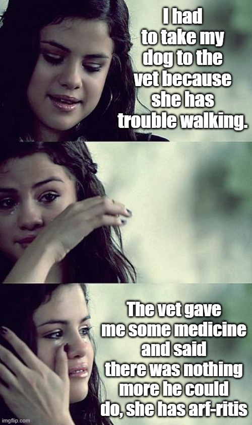 First World Dog problems | I had to take my dog to the vet because she has trouble walking. The vet gave me some medicine and said there was nothing more he could do, she has arf-ritis | image tagged in selena gomez crying | made w/ Imgflip meme maker