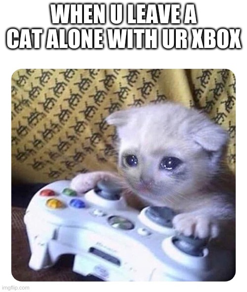 lol 2.0 | WHEN U LEAVE A CAT ALONE WITH UR XBOX | image tagged in cat gamer | made w/ Imgflip meme maker