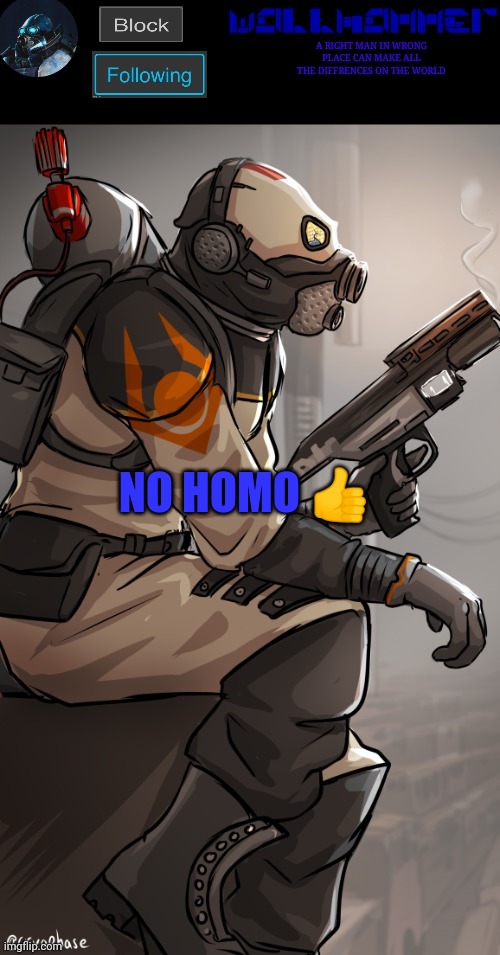 wallhamer | NO HOMO 👍 | image tagged in wallhamer | made w/ Imgflip meme maker