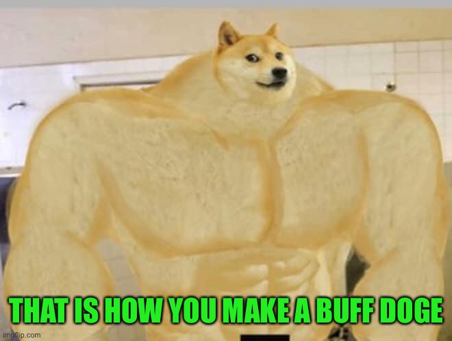 Buff Doge | THAT IS HOW YOU MAKE A BUFF DOGE | image tagged in buff doge | made w/ Imgflip meme maker