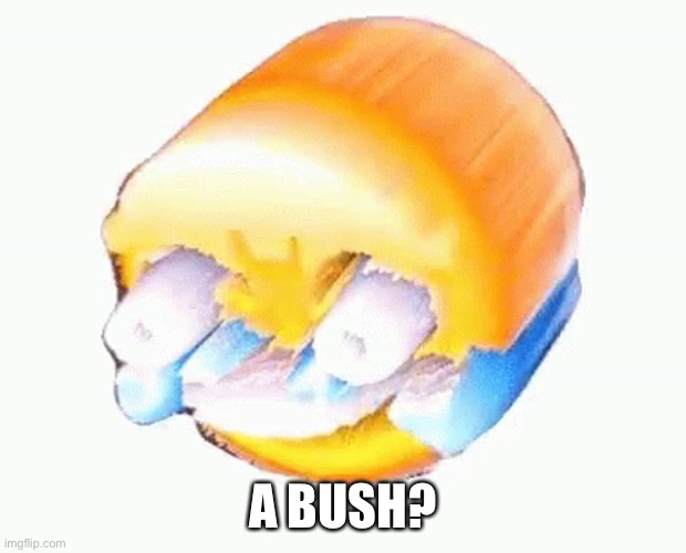 Laughing emoji | A BUSH? | image tagged in laughing emoji | made w/ Imgflip meme maker