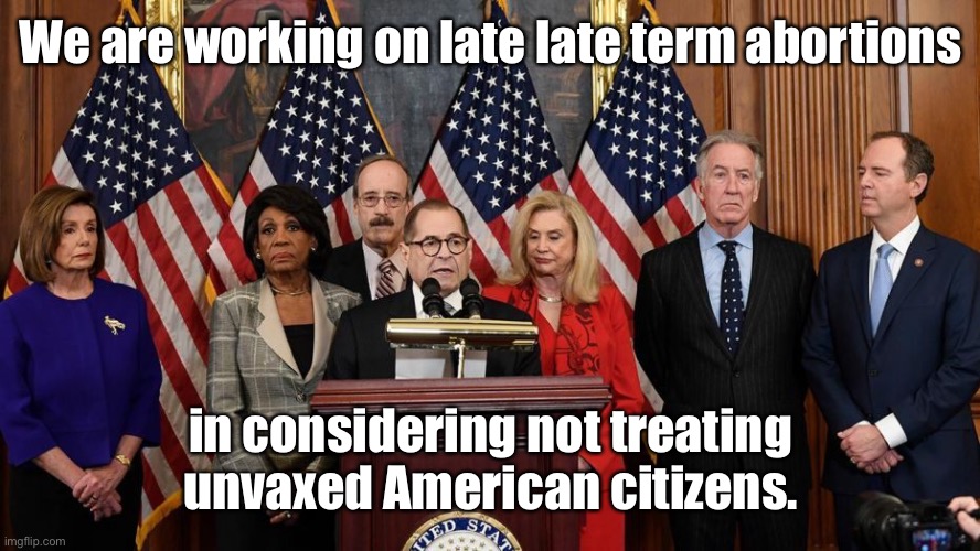 House Democrats | We are working on late late term abortions in considering not treating unvaxed American citizens. | image tagged in house democrats | made w/ Imgflip meme maker