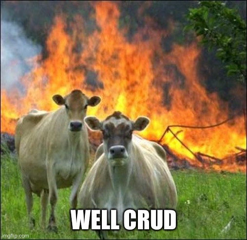 Evil Cows Meme | WELL CRUD | image tagged in memes,evil cows | made w/ Imgflip meme maker