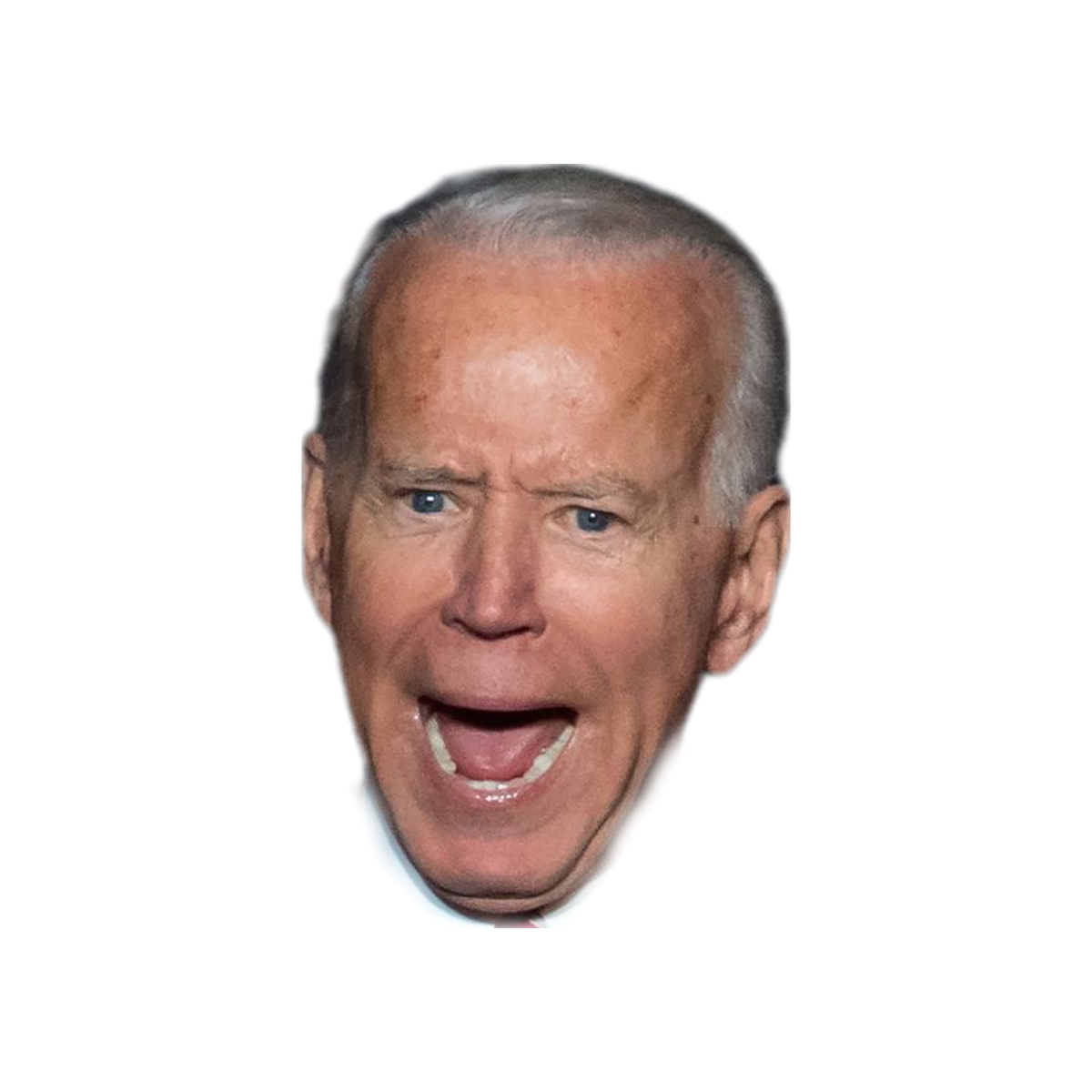 Joe Biden head png Blank Meme Template