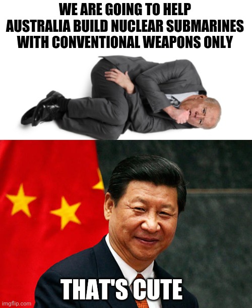 WE ARE GOING TO HELP AUSTRALIA BUILD NUCLEAR SUBMARINES WITH CONVENTIONAL WEAPONS ONLY; THAT'S CUTE | image tagged in xi jinping | made w/ Imgflip meme maker