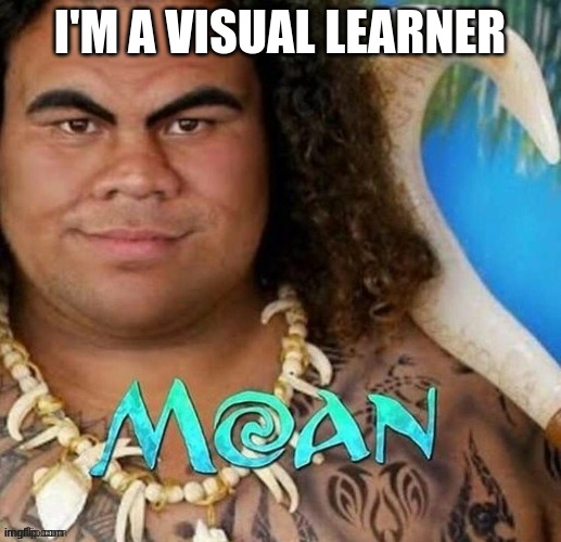 Moan | I'M A VISUAL LEARNER | image tagged in moan | made w/ Imgflip meme maker