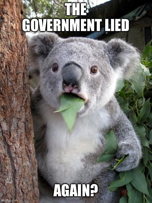 Surprised Koala Meme | THE GOVERNMENT LIED AGAIN? | image tagged in memes,surprised koala | made w/ Imgflip meme maker