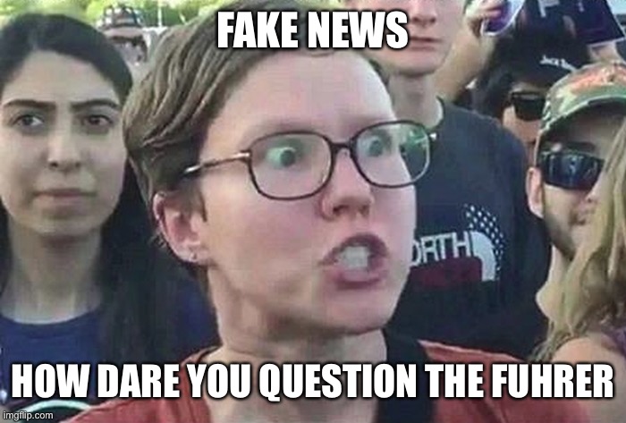 Triggered Liberal | FAKE NEWS HOW DARE YOU QUESTION THE FUHRER | image tagged in triggered liberal | made w/ Imgflip meme maker