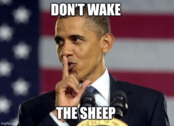 Obama Shhhhh | DON’T WAKE THE SHEEP | image tagged in obama shhhhh | made w/ Imgflip meme maker