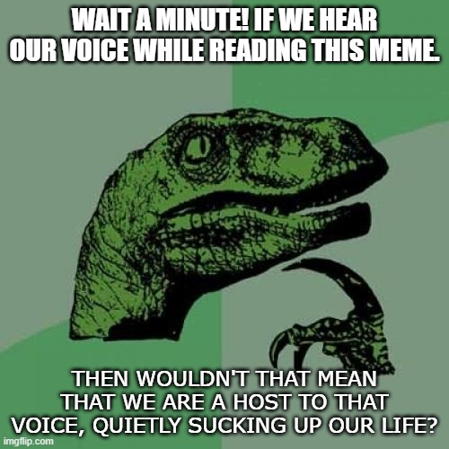 Goin' Dark in 3...2...1... | WAIT A MINUTE! IF WE HEAR OUR VOICE WHILE READING THIS MEME. THEN WOULDN'T THAT MEAN THAT WE ARE A HOST TO THAT VOICE, QUIETLY SUCKING UP OUR LIFE? | image tagged in memes,philosoraptor | made w/ Imgflip meme maker