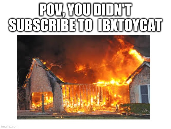 So true | POV, YOU DIDN'T SUBSCRIBE TO  IBXTOYCAT | image tagged in blank white template | made w/ Imgflip meme maker
