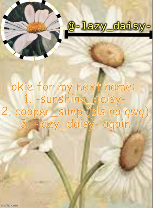 okie for my next name: 
1. -sunshine_daisy-
2. cooper_simp (pls no qwq)
3. -lazy_daisy- again | image tagged in hmmmm | made w/ Imgflip meme maker