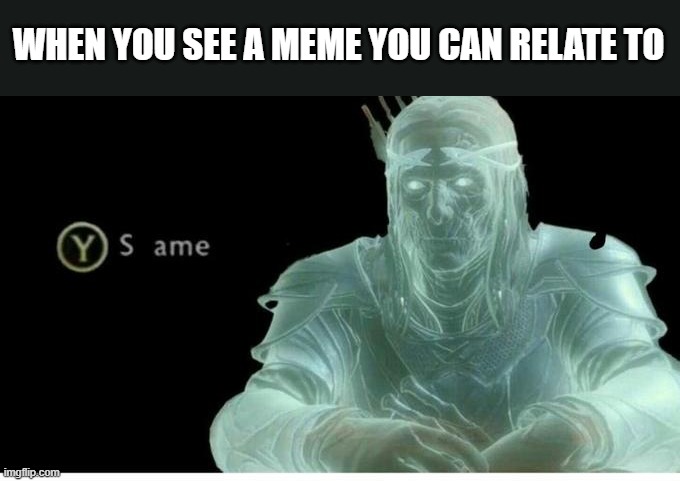 Sameee | WHEN YOU SEE A MEME YOU CAN RELATE TO | image tagged in same | made w/ Imgflip meme maker