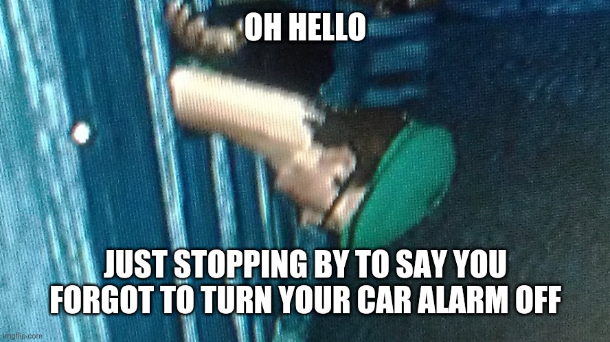 Hehe | OH HELLO; JUST STOPPING BY TO SAY YOU FORGOT TO TURN YOUR CAR ALARM OFF | image tagged in saints row the third - head stuck in fence | made w/ Imgflip meme maker
