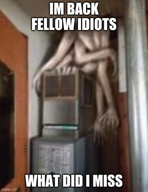 Clump | IM BACK FELLOW IDIOTS; WHAT DID I MISS | image tagged in clump | made w/ Imgflip meme maker