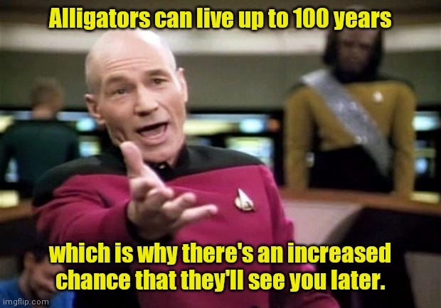 Not if I see you first. | Alligators can live up to 100 years; which is why there's an increased chance that they'll see you later. | image tagged in startrek,funny | made w/ Imgflip meme maker