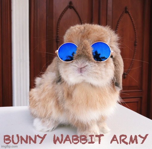 BUNNY WABBIT ARMY | made w/ Imgflip meme maker
