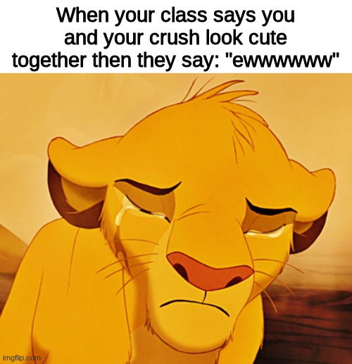 Dreams=Crushed | When your class says you and your crush look cute together then they say: "ewwwwww" | image tagged in school,crush,lion king,disney | made w/ Imgflip meme maker