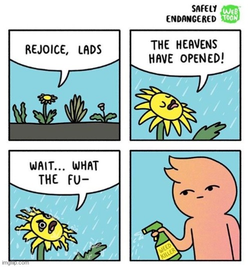 why must you hurt me in this way | image tagged in comics/cartoons,weed,dandelion | made w/ Imgflip meme maker