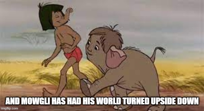 Disney What If | AND MOWGLI HAS HAD HIS WORLD TURNED UPSIDE DOWN | image tagged in classic cartoons | made w/ Imgflip meme maker