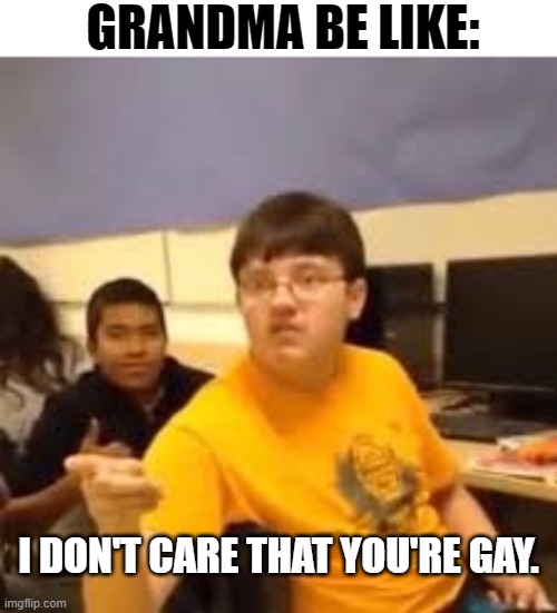 Im gonna say it | GRANDMA BE LIKE: I DON'T CARE THAT YOU'RE GAY. | image tagged in im gonna say it | made w/ Imgflip meme maker