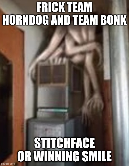 Clump | FRICK TEAM HORNDOG AND TEAM BONK; STITCHFACE OR WINNING SMILE | image tagged in clump | made w/ Imgflip meme maker