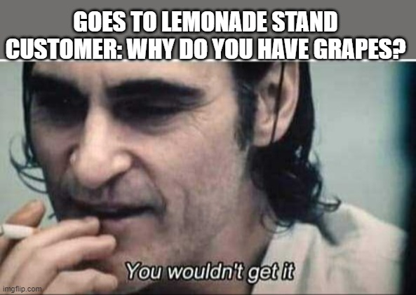 you wouldn't get it | GOES TO LEMONADE STAND
CUSTOMER: WHY DO YOU HAVE GRAPES? | image tagged in you wouldn't get it | made w/ Imgflip meme maker